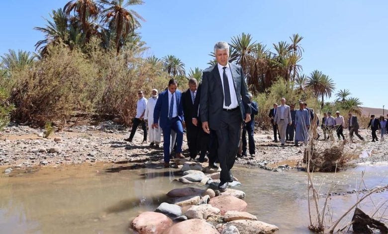 الصديقي يُعاين أضرار الأمطار الرعدية على القطاع الفلاحي بالجنوب الشرقي ( صور )