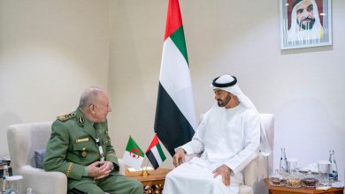 بعد استفزاز أبوظبي إعلاميًا.. نظام العسكر يهدد مصير استثمارات الإمارات الضخمة بالجزائر