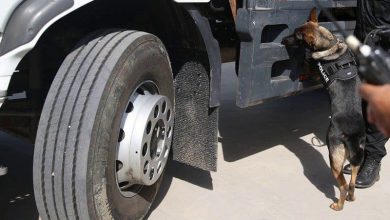 إسبانيا.. مداهمة حافلة قادمة من المغرب تكشف عن تهريب سجائر وأموال غير مصرح بها