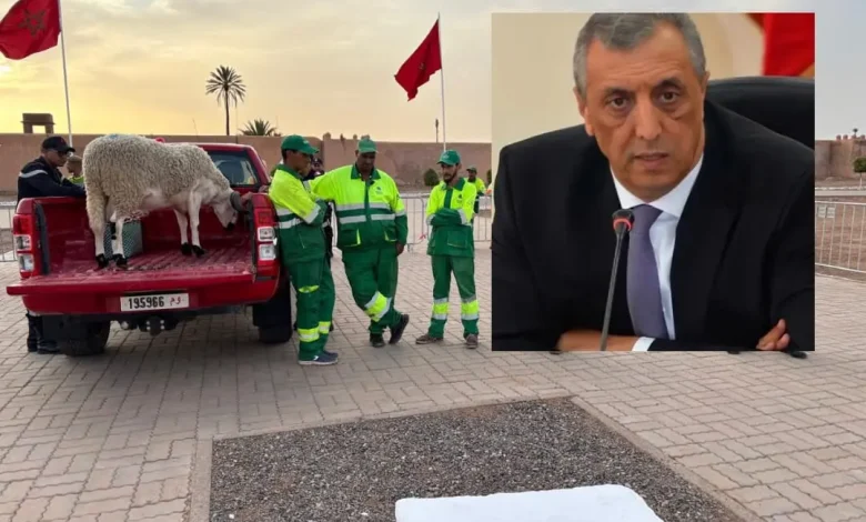 إعفاء والي جهة مراكش آسفي بسبب ذبح أضحية العيد