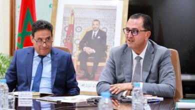 اجتماع جهوي لإعادة تكوين قطيع الماشية في جهة طنجة-تطوان-الحسيمة