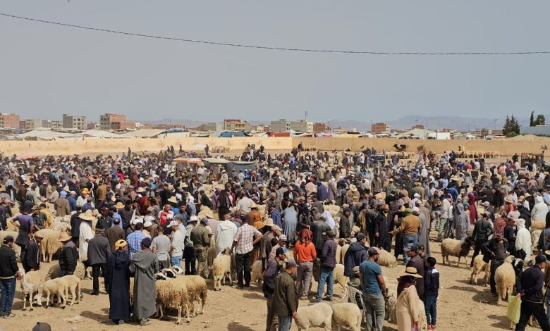 تعليق نشاط “رحبة الغنم” بجرسيف إلى ما بعد عيد الأضحى
