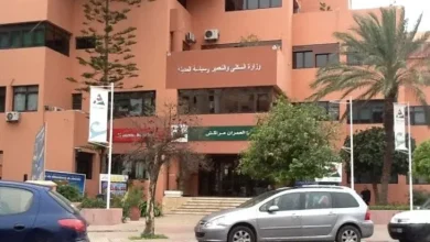 صورة من الأرشيف