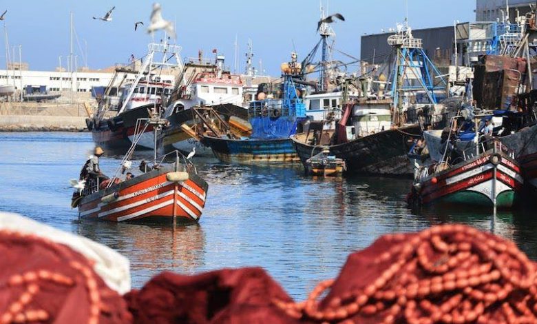 مركب مغربي يختفي بأيدي طاقمه ويصل إسبانيا طالبًا اللجوء