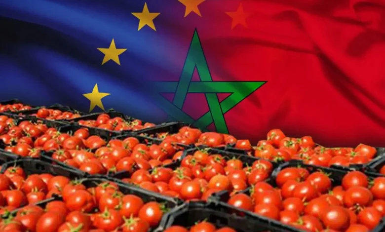 إسبانيا تشكو منافسة المغرب في سوق الطماطم الأوروبية