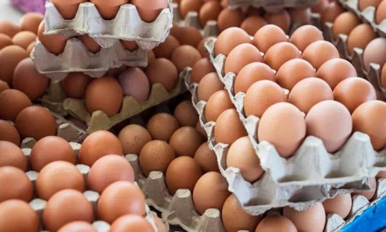 ارتفاع أسعار البيض في الأسواق المغربية والوسطاء في “قفص الاتهام”