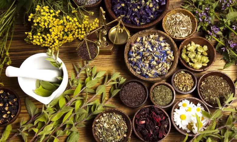 الاستعمال العشوائي للأعشاب يهدد صحة المغاربة
