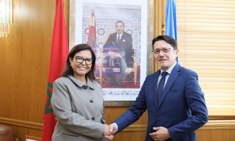 الدريوش تستقبل ممثل منظمة الفاو بالمغرب وتؤكد استمرار التعاون النموذجي
