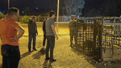 السعيدية .. السلطات تُفعّل خطة ميدانية لمواجهة انتشار الخنازير البرية