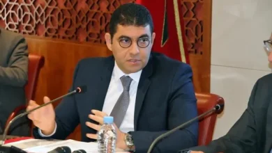 بنسعيد: “كل صحافي له أقدمية 10 سنوات يحق له الترشح لانتخابات المجلس”