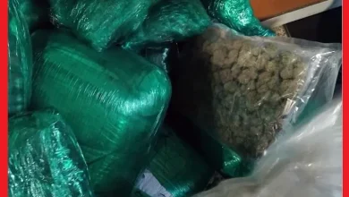 توقيف كنديين بحوزتهما 133 كلغ من “الماريخوانا” بمطار البيضاء