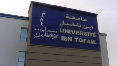 جامعة ابن طفيل تحت وطأة التماطل الإداري وزارة التعليم العالي تتجاهل أداء مستحقات الأساتذة