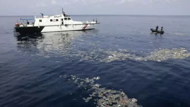 فقدان 61 شخصا إثر غرق مركب قرب جزيرة بالي الإندونيسية