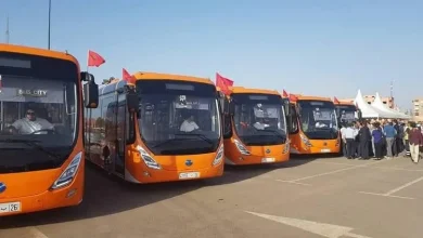 مراكش تعزز أسطولها الحضري بـ240 حافلة جديدة