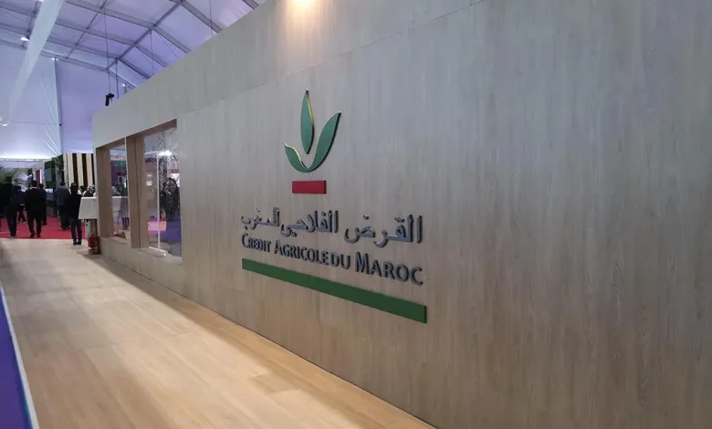 من يسير القرض الفلاحي…المدير العام أم حنان أعجلي؟