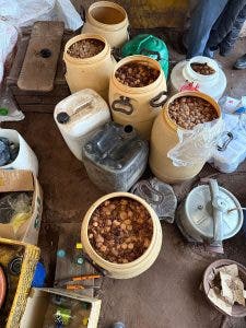 درك الجديدة يصادر من ورشة سرية للتقطير حوالي 3 أطنان من مسكر البراندي (صور)