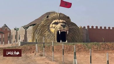 الأسود تزأر من أكادير.. الاستعداد لافتتاح أكبر حديقة صديقة للبيئة بالمغرب