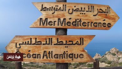 المغرب ومحيطه البحري.. استراتيجية سيادية تستشرف المستقبل