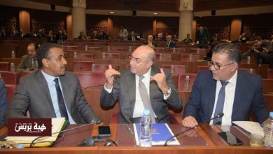 غياث يُحذر من غياب إشراك المواطنين في إصلاح القوانين الانتخابية