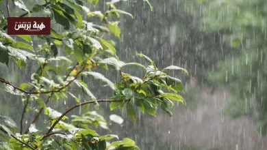 طقس الخميس.. زخات رعدية ورياح قوية ببعض المناطق